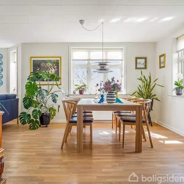 Spisebord med fire stole står i solrig stue med trægulv og grønne stueplanter omkring. Billeder hænger på væggen, og der er vinduer, der slipper lys ind.