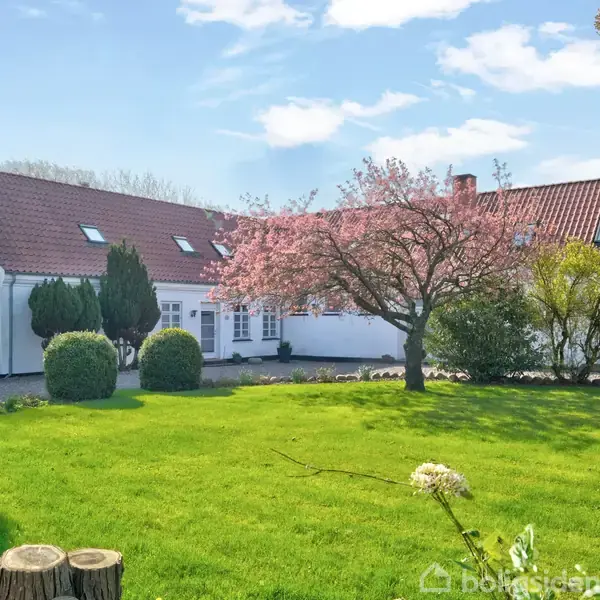 En hvidmalet villa med rødt tegltag står i en frodig have med grøn græsplæne og blomstrende træer. Himlen er blå med hvide skyer.