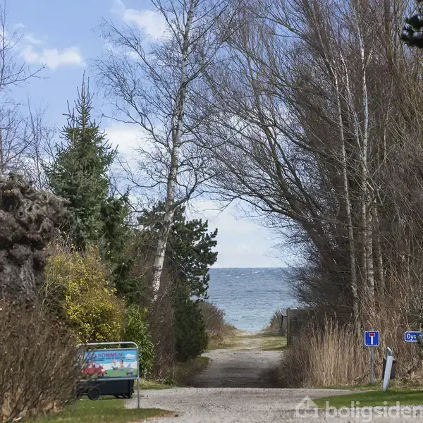 En sti leder gennem træer mod havet. Et vejskilt viser "Øvej" i et naturskønt område med blå himmel og enkelte skyer i baggrunden.