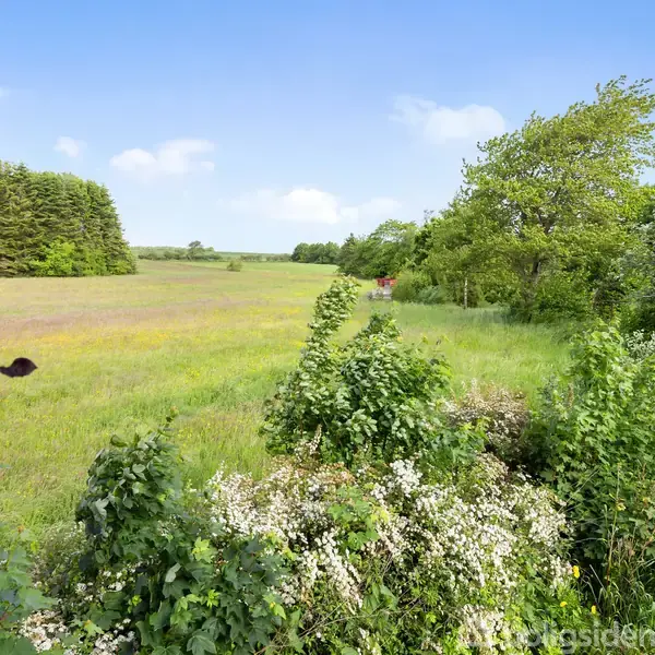 Grønne buske og træer fylder en forgrund, der leder til en åben mark med græs og vilde blomster. En skov af træer danner baggrunden under en klar blå himmel.