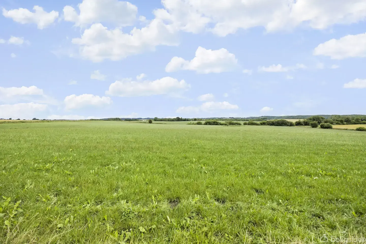 Skøn hesteejendom med egen ridebane og 3.5 ha jord - Visning 4