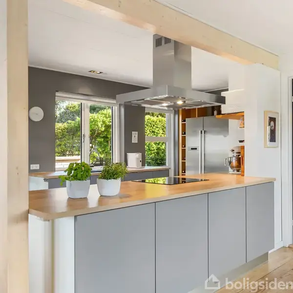 Køkken med gråt køkkenbord, tre potteplanter og emhætte, set fra spisestue. Store vinduer giver udsigt til grøn have. Lys træpanel og moderne køkkenapparater er synlige.