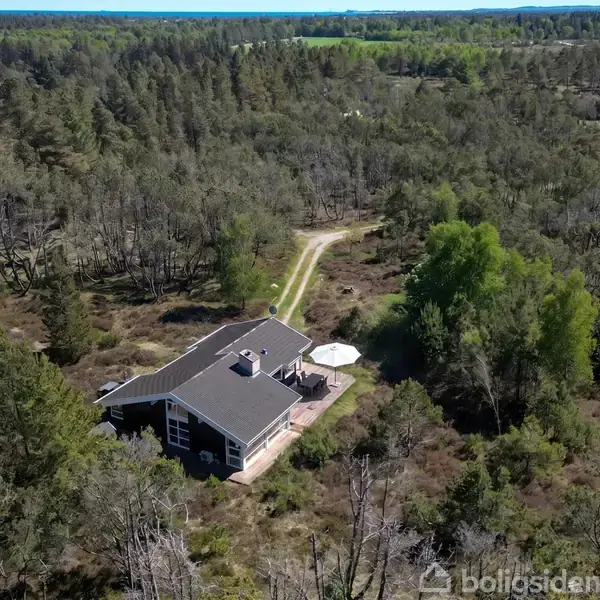 Et moderne hus ligger blandt tæt skov. Der er en terrasse med en paraply. En smal grusvej forbinder huset med en større sti i baggrunden.