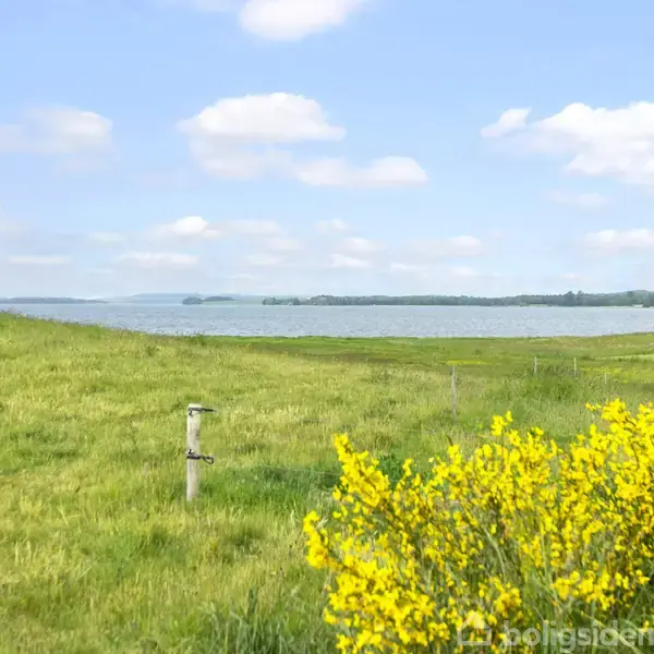 Grønt landskab med gule blomster i forgrunden, en sø i baggrunden, og blå himmel med skyer.