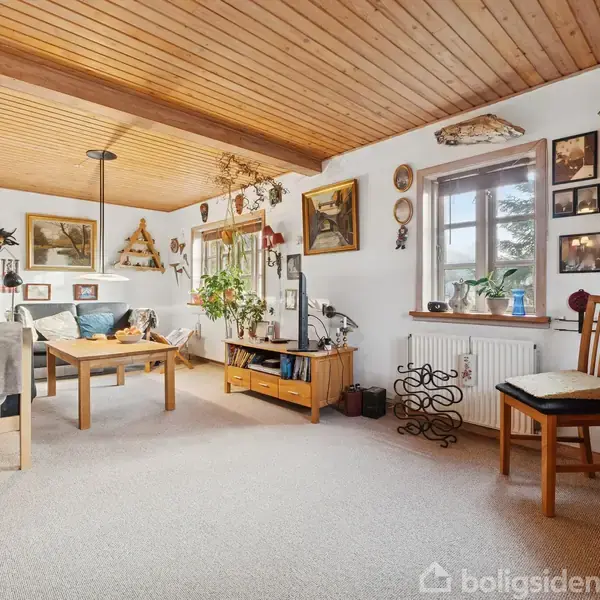 En stue med træloft, der indeholder en sofa og et sofabord, står ved siden af et vindue. Væggene er dekoreret med billeder og planter. Gulvtæppet er lyst.