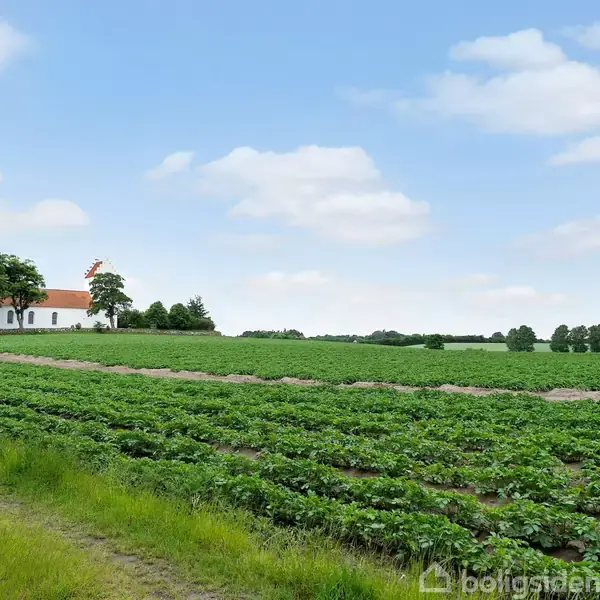 Hvid kirke med orange tag står stille på en grøn mark med rækker af afgrøder. Blå himmel med skyer danner baggrund.