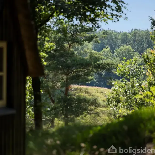 En hytte står delvist skjult af skyggerne i en frodig skov med sollys skinnende gennem træerne, der afslører en bakke i det fjerne.