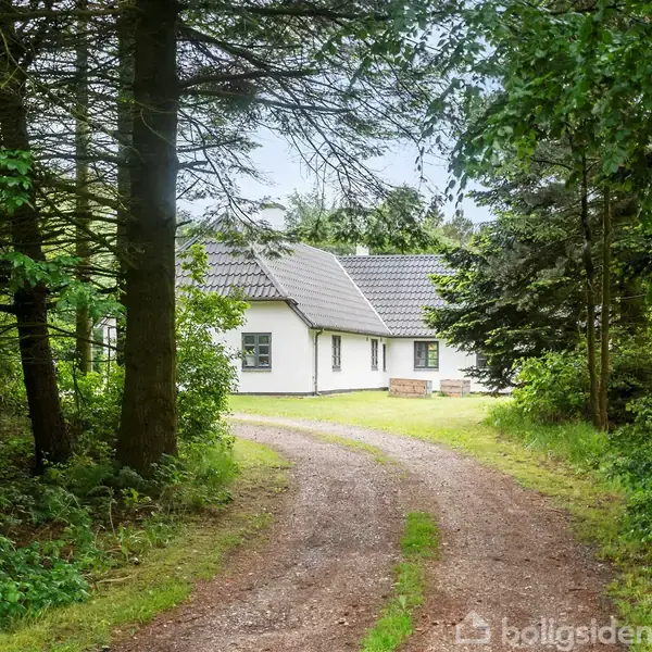 Et hvidt hus står stille omgivet af frodige træer. En grusvej leder hen til huset, der ligger i en skovklædt, naturlig omgivelse.
