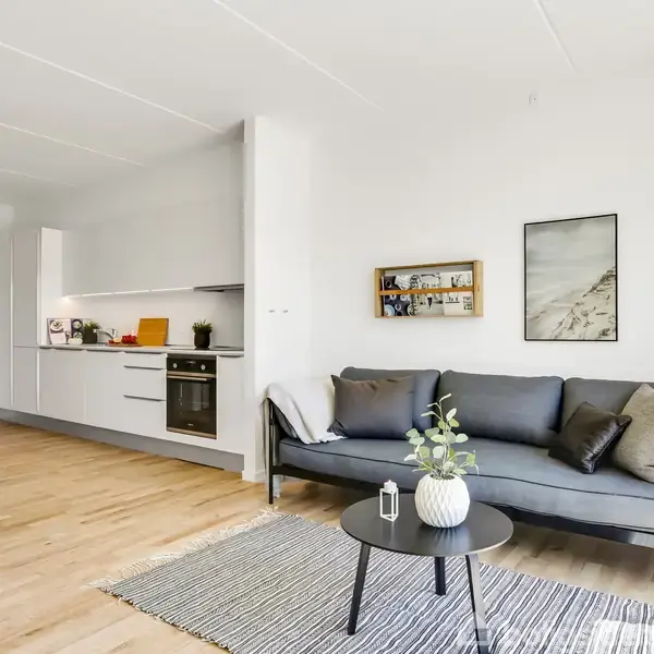 Grå sofa står i stue med trælaminatgulv, pyntepuder og vægkunst. Ved siden af er et sort sofabord med grøn plante. Køkken ses i baggrunden med hvide skabe.