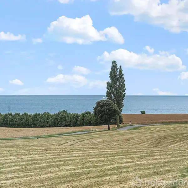 To høje træer står stille ved en kyst, med bølgende marker foran og en rolig havhorisont i baggrunden under en blå himmel med spredte skyer.