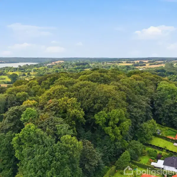 En stor skov fyldt med tæt, grøn vegetation ligger centralt; omgivet af åbne marker, en sø i baggrunden og flere huse med røde tage i forgrunden.