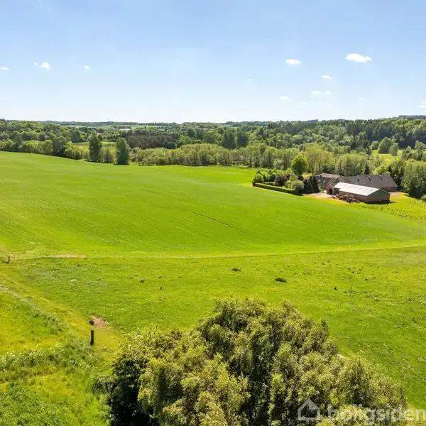 En grøn mark strækker sig fladt i et åbent landskab. En enkelt bygning ligger ved skovens kant til højre, omgivet af træer og tæt vegetation under en klar blå himmel.