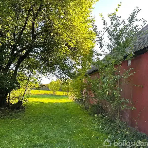 En rød bygning med et vindue står ved en grøn græsplæne. Træer med frodigt løv omkranser området og skaber en fredfyldt atmosfære.