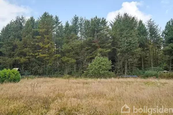 Helårsgrund på Kjeldbjergvej 15, 8740 Brædstrup
