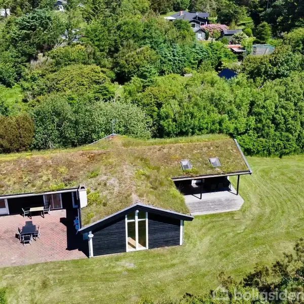 En grusvej fører gennem en frodig, grøn have med buske og træer. En postkasse står til venstre. Himlen er blå med få skyer i baggrunden.