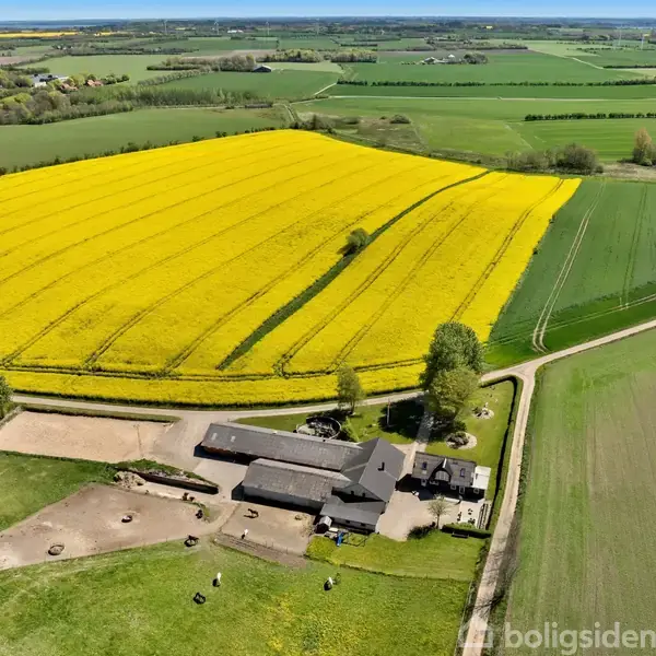 En gård med flere bygninger ligger omgivet af marker i et åbent landskab. En stor mark med gule blomster strækker sig bagved, mens grønne marker omkranser området.