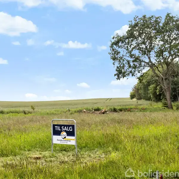 Et skilt med teksten "TIL SALG" står på en græsmark ved siden af et ensomt træ, omgivet af åbne marker under en blå himmel med spredte skyer.