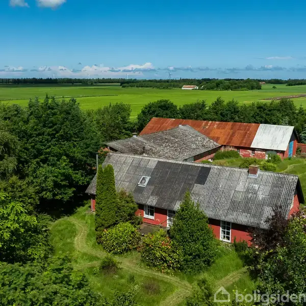 En stue med sofa og stole omkring et brændekomfur, omgivet af farverige malerier og bogreoler. Store vinduer og en åben dør giver udsigt til grøn natur udenfor.