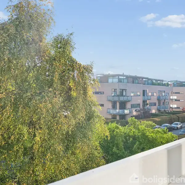 Stor grøn træ står foran moderne etagebygninger med altaner. Sollys belyser fredelig boligområde under blå himmel med få skyer.
