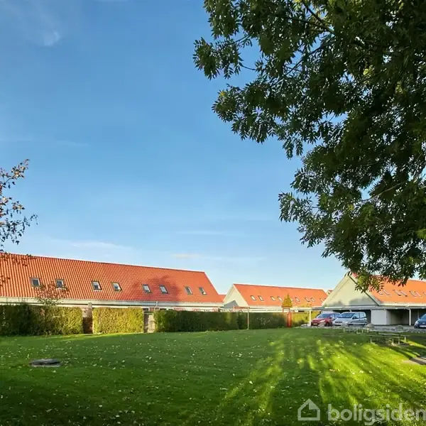 Grøn græsplæne strækker sig foran rækkehuse med røde tage, omkranset af træer under en blå himmel. Biler parkeret langs husene.