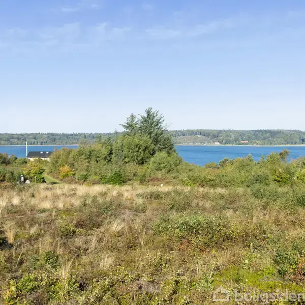 Grønt landskab med spredt vegetation og en bakketop, set mod en blå sø i baggrunden under en klar, blå himmel.