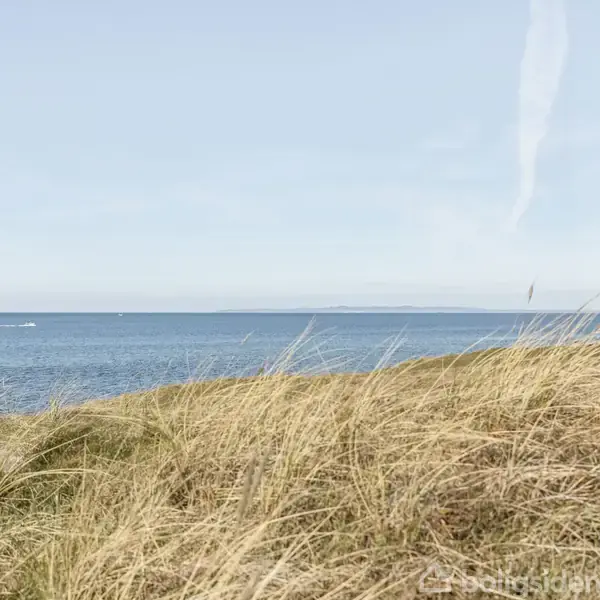 Græsbevoksede klitter strækker sig mod en rolig, blå havoverflade under en klar, lyseblå himmel med enkelte skyer. Havets horisontlinje er synlig i det fjerne.