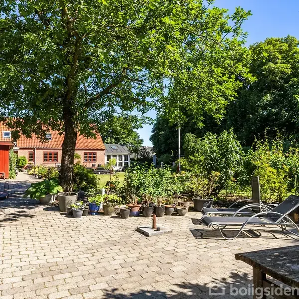 En flisebelagt gårdhave med to liggestole under et stort træ. Omkring står urtepotter med forskellige planter, og i baggrunden ses røde bygninger med huse i en haveomgivelser.