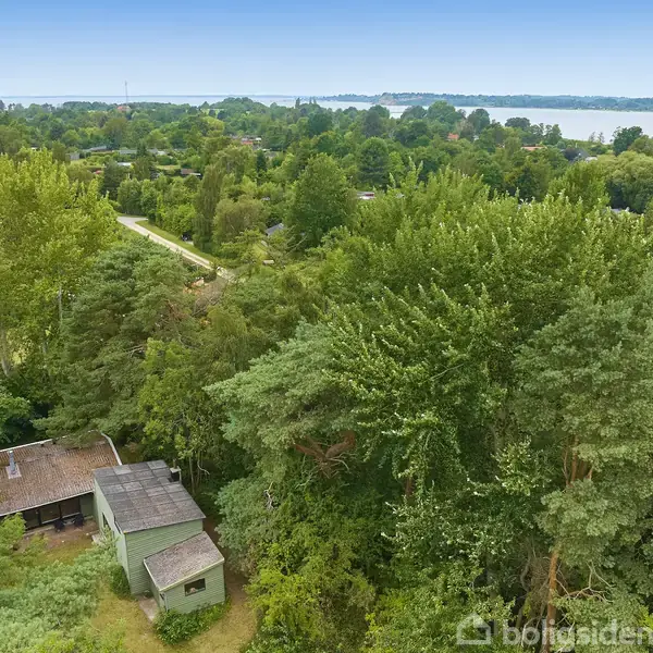 Et lille hus ligger blandt tætte, grønne træer i et frodigt landskab. I baggrunden ses en flod eller sø, der løber gennem et skovområde.