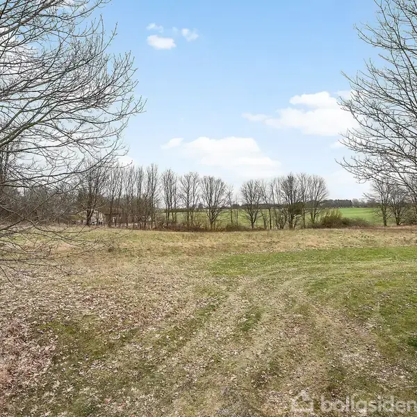 Træer står nøgne i en åben mark med græs i forgrunden. Skyer flyder på en blå himmel, og landskabets horisont fortsætter mod en skovklædt baggrund.