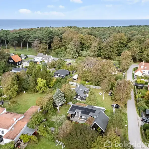 Flere huse er omgivet af frodige haver tæt på en vej. I baggrunden ses en tæt skov og i horisonten en glimt af havet under en klar himmel.