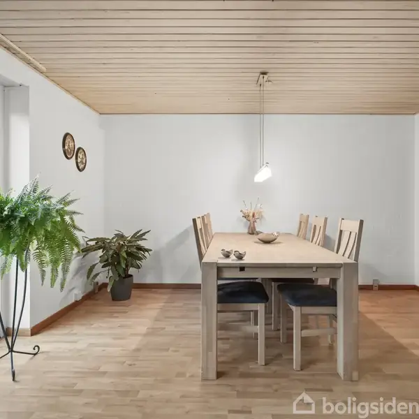 Et spisebord med seks stole står i et lyst rum. En lampe hænger over bordet. Store vinduer til venstre viser en terrasse med blomster. To planter står ved siden af bordet.