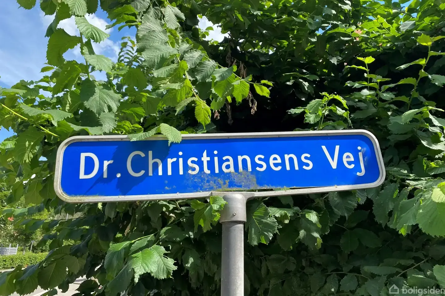 Helårsgrund på Dr Christiansens Vej 1, 4293 Dianalund