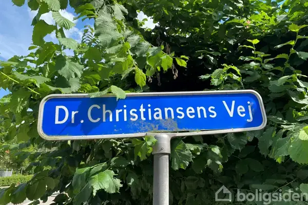 Helårsgrund på Dr  Christiansens Vej 1, 4293 Dianalund