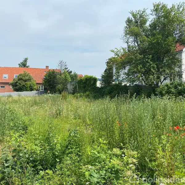 En åben, grøn grund med højt græs og vilde blomster omgiver et roligt boligområde med røde tegltagshuse i baggrunden og træer til venstre.