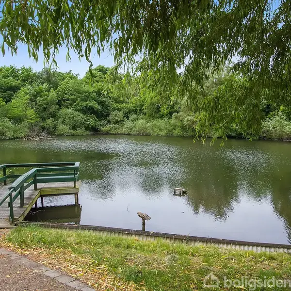 En træplatform står ved en stille sø omkranset af tæt løvskov. En sti fører til platformen, som har en grøn rækværk, og himlen er klar.