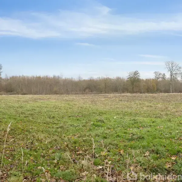 En åben, grøn mark strækker sig ud i forgrunden, omkranset af træer i efterårsfarver i baggrunden, under en klar blå himmel med lette skyer.