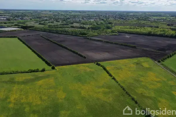 Planteavlsgård/-jord på Ørderup Nørremarksvej 3, 6520 Toftlund