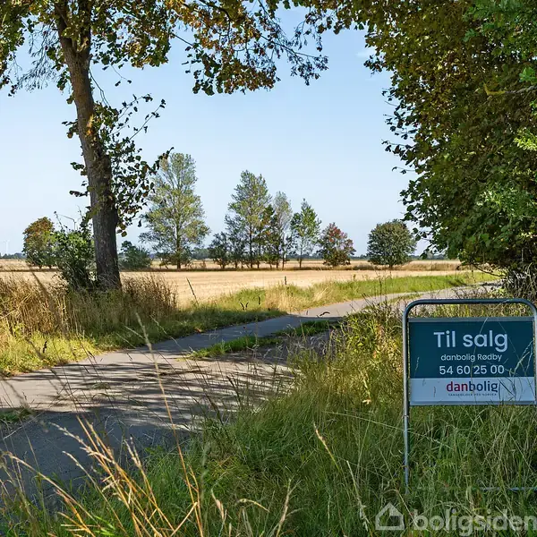 Et skilt står på en græsmark ved en landevej. Skiltet siger: "Til salg, danbolig Rødby, 54 60 25 00, danbolig." I baggrunden ses træer og marker.