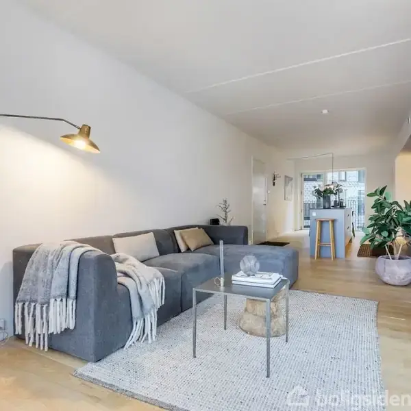 Grå sofa med tæppe og puder står mod en hvid væg under en væglampe. Foran står et glasbord på et tæppe. I baggrunden ses en spiseplads og planter.