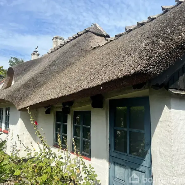 Stråtækt hus med hvidmalede vægge og blå vinduer står stille i solskinsvejr. Omgivet af grønne planter og blå himmel, skaber det en idyllisk og traditionel atmosfære.