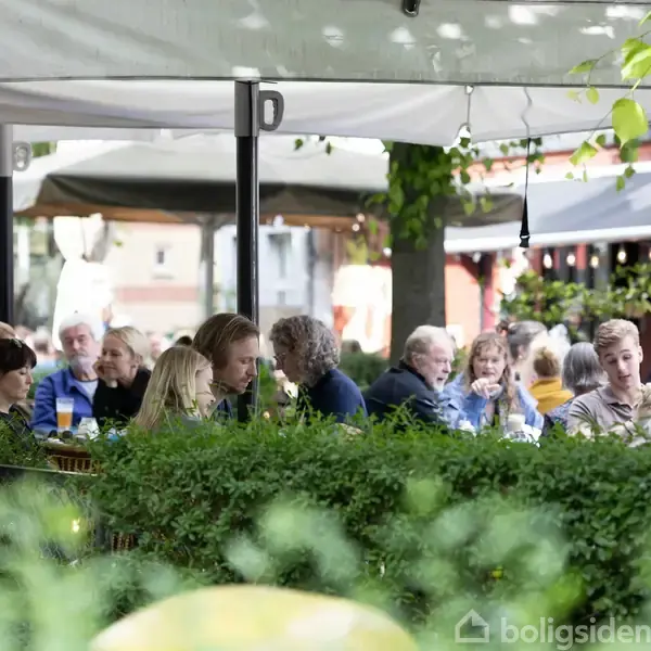 Folk sidder og snakker under et stort hvidt telt i en udendørs café. Grønt løv og buske omgiver området, der skaber en hyggelig atmosfære blandt gæsterne.