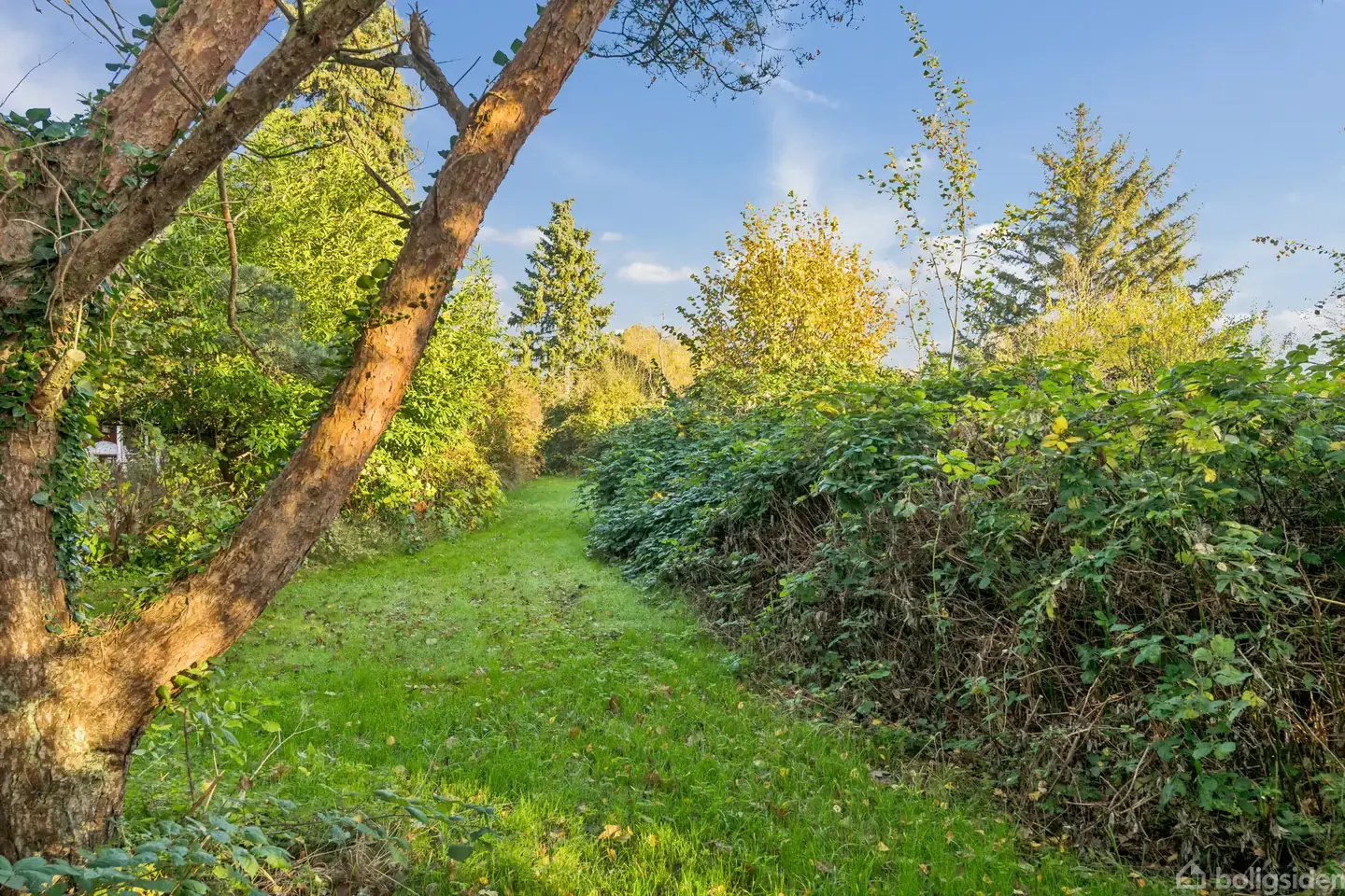 Fritidsgrund på Bakkevej 6, 4945 Femø