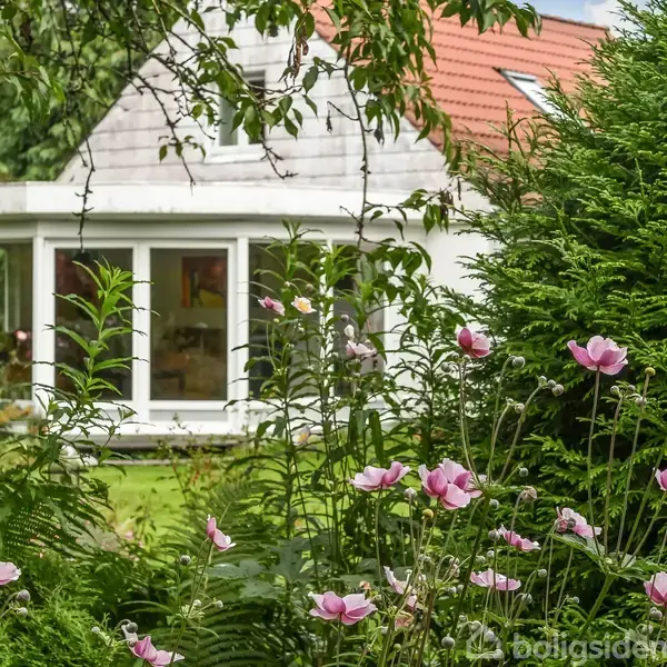 Et hvidt hus med rødt tag ses gennem frodige grønne planter og lyserøde blomster i en have. Husets glasparti reflekterer sollys, og området er frodigt og stille.