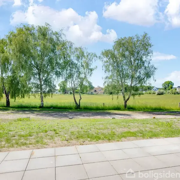 Fugletræer står stille i en grøn mark, set fra en flisebelagt terrasse. Skyerne er spredt på en blå himmel, mens huse ses i baggrunden.