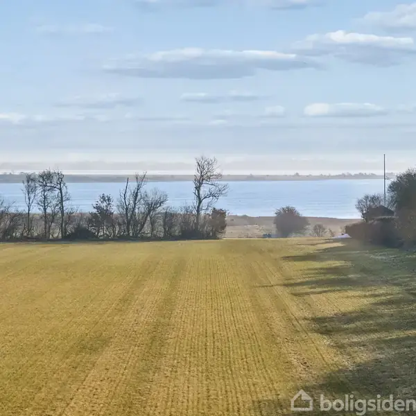 En åben mark strækker sig mod horisonten, omgivet af træer, med udsigt til en blå sø under en let skyet himmel.