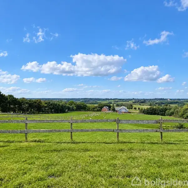 Græsmark indhegnes af et træhegn, stilleliggende under en klar blå himmel med skyer. I baggrunden ses flere træer og et par huse i det fjerne, omgivet af grønt landskab.