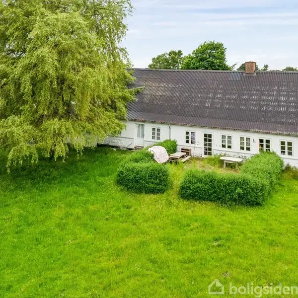 Et landhus med sort tag og hvide vægge står i en grøn have omkranset af buske. Et stort træ skygger foran huset. Ingen tekst fundet.