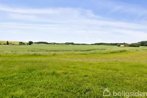 Grøn mark strækker sig ud i horisonten med spredte træer og små bygninger i baggrunden under en blå himmel med få skyer.