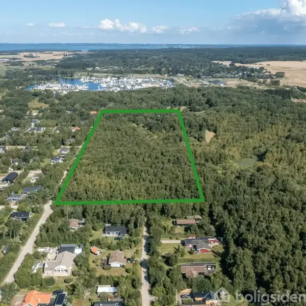 Et grønt skovområde markeret med en grøn kant under en blå himmel. Det ligger i et landskab med spredte huse og en synlig kystlinje i baggrunden.