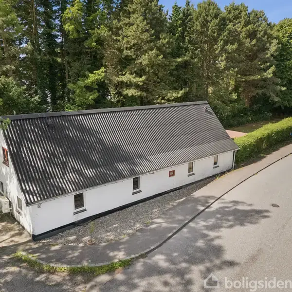 Hvidt hus med mørkt tag står ved en vej, omkranset af træer og buske. Sollys skinner gennem trækronerne, der danner skygger på asfalten.